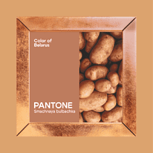 Скетчбук "Sketchmarker. Color of Belarus. Pantone Smachnaya bulbachka", 12х12 см, 140 г/м2, 80 листов, капучино