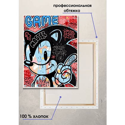Картина по номерам "Соник Граффити" - 2