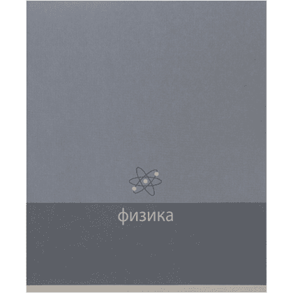 Тетрадь предметная "Физика. Pictogram", А5, 48 листов, клетка, серый