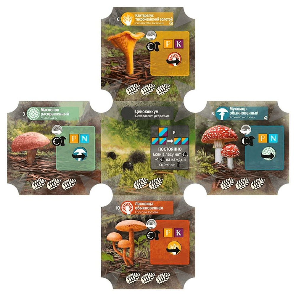 Игра настольная "Грибы и корни" - 3