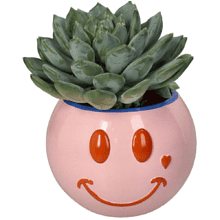 Кашпо "Smiley", полистоун, розовый