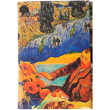 Обложка для автодокументов и паспорта "Цвета Ван Гога", разноцветный