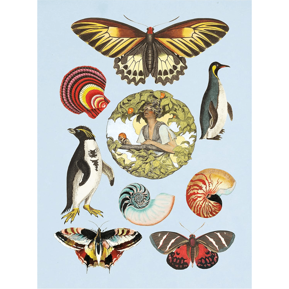 Книга на английском языке "The Antiquarian Sticker Book: An Illustrated Compendium of Adhesive Ephemera", Odd Dot - 6