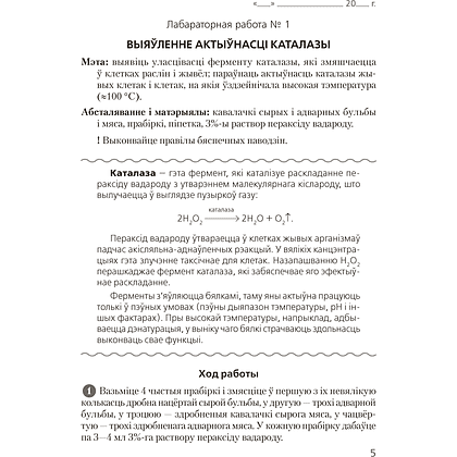 Книга "Бiялогiя. 11 клас. Сшытак для лабараторных і практычных работ (базавы ўзровень)", Хруцкая Т. В. - 3
