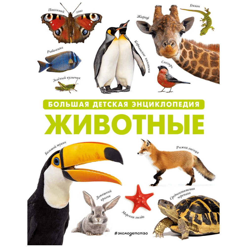 Книга "Животные. Большая детская энциклопедия"