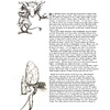 Книга "Тролли с иллюстрациями Брайана и Венди Фрауд", Фрауд Б., Фрауд В. - 8