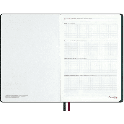 Ежедневник полудатированный "Тиволи Делавэ", А5, 384 страницы, зелёный - 5