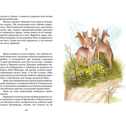 Книга "Классная литература. Рассказы о животных", Эрнест Сетон-Томпсон - 6