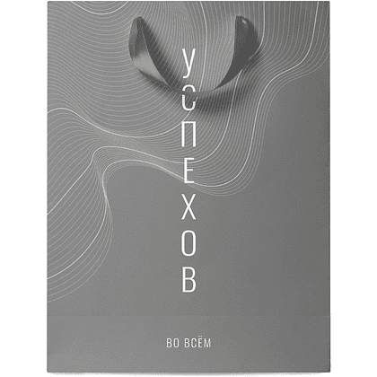 Пакет бумажный подарочный "Country", 31х41х10 см, ассорти - 2