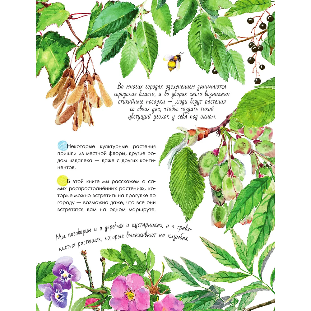 Книга "Растения в городе", Ирина Пескова - 8