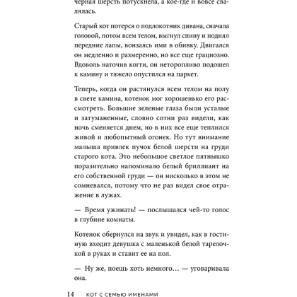 Книга "Кот с семью именами. Счастье приходит к тому, кто верит в чудеса", Федерико Сантаити - 10
