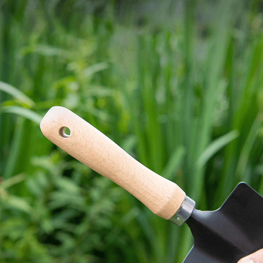 Набор садовых инструментов Deli GS DL580833, 310 мм, 3 шт., деревянная рукоятка - 4 Набор садовых инструментов Deli GS DL580833, 310 мм, 3 шт., деревянная рукоятка - 4