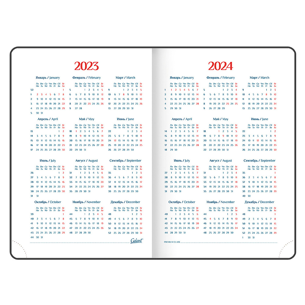 Ежедневник датированный "Ritter", А5, 336 страниц, черный, 2023 - 11