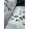 Книга "Основы японской живописи суми-э", Наталия Безвуляк - 3
