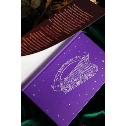 Книга "Зачарованная река", Ребекка Росс - 4