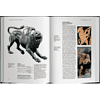Книга "История уродства", ред. Умберто Эко - 4