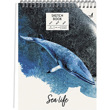 Скетчбук "Синий кит", 210x286 мм, 60 листов