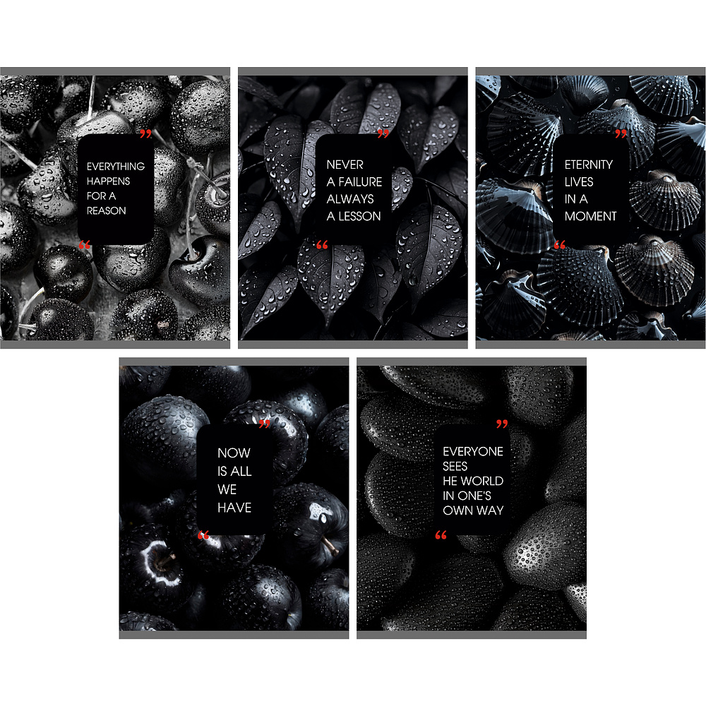 Тетрадь А5 "Natural Black" 48 листов, в клетку, ассорти