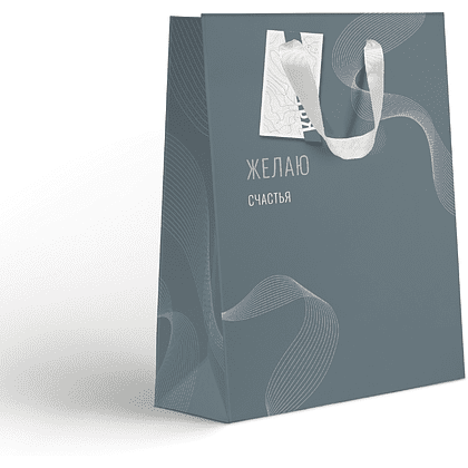 Пакет бумажный подарочный "Country LVS", 25.5х31.5х11 см, ассорти - 2