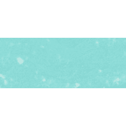 Пастель сухая "Renesans", 58 бирюзовый зеленый - 2