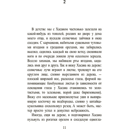 Книга "Бегущий за ветром", Халед Хоссейни - 4