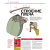 Книга "Анатомия. Создание реалистичных людей и животных + мастер-классы по QR-коду", FX Imagine - 6