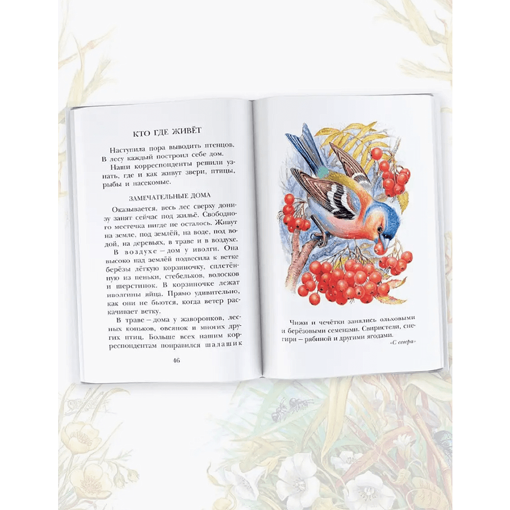 Книга "Детское чтение. Лесная газета. Рассказы", Виталий Бианки - 4