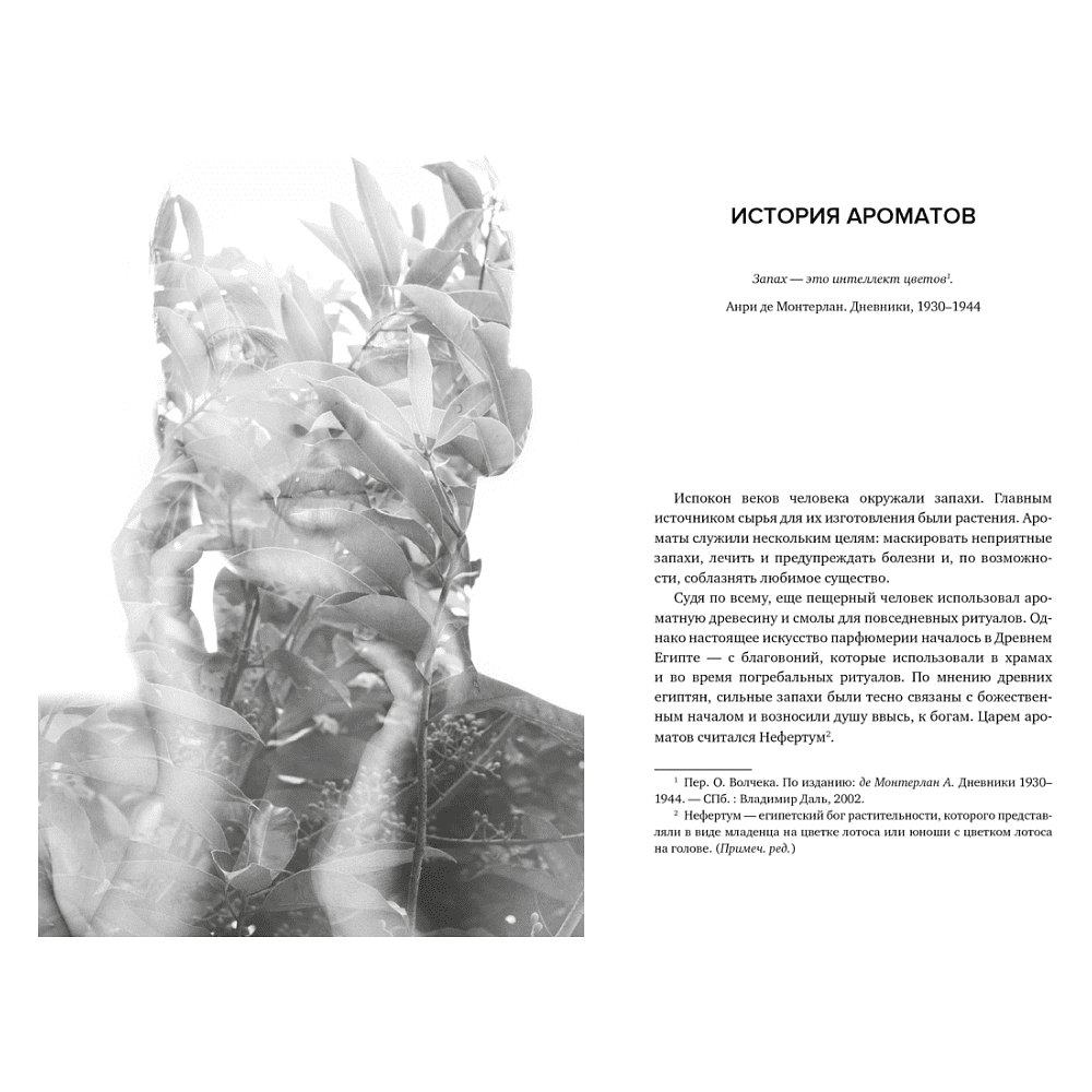 Книга "Нос. Секреты парфюмера Guerlain", Делакурт С. - 6