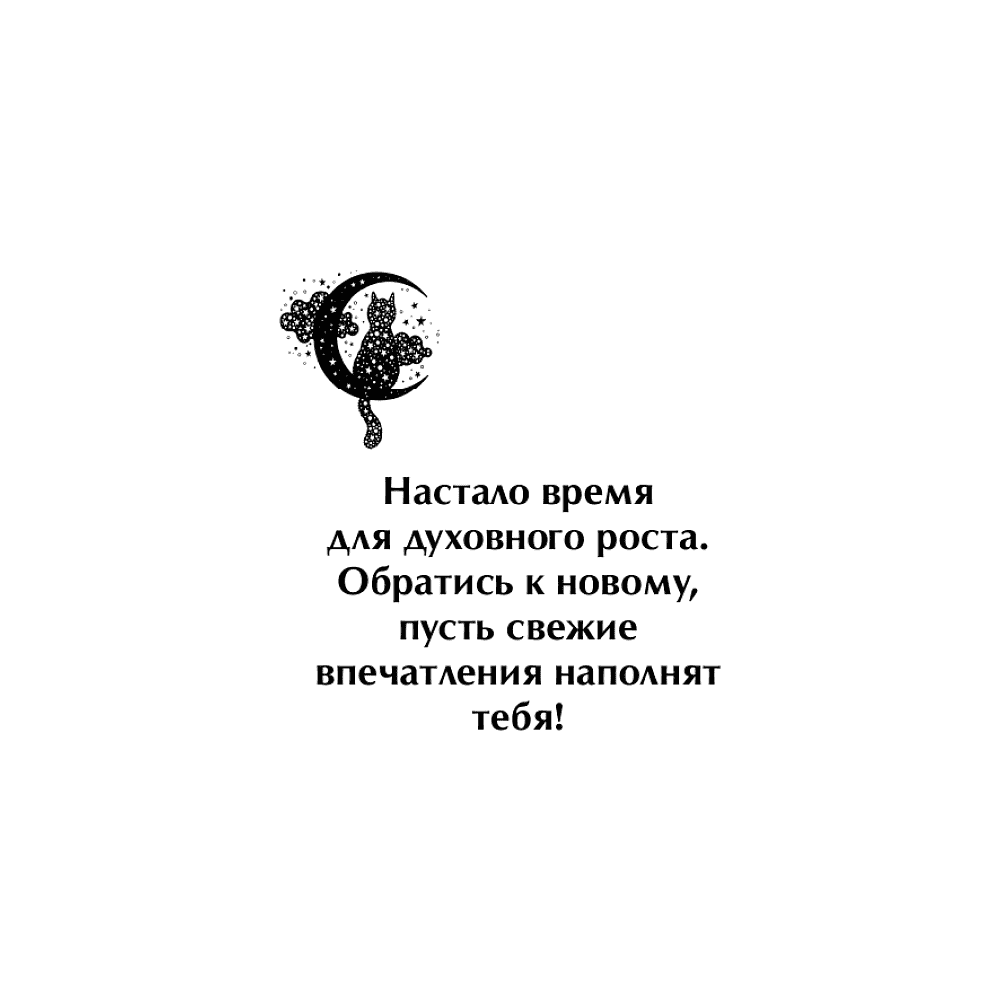 Книга "Ответы мудрого кота" - 3