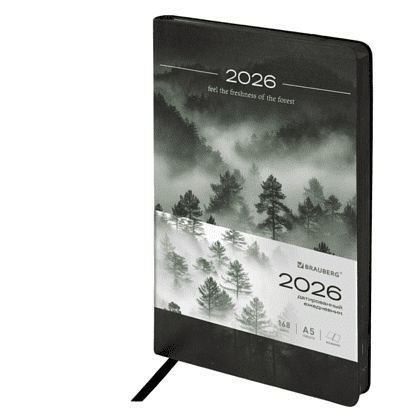 Ежедневник датированный "Vista. Mist", А5, 336 страниц, черный, серый, 2026
