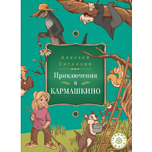 Книга "Приключения в Кармашкино", Ситников А.