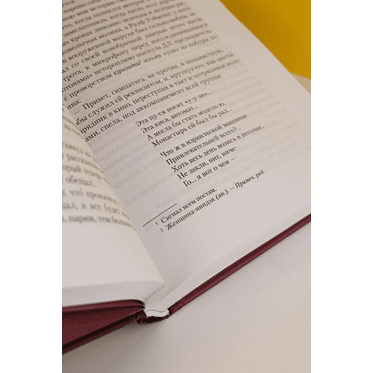 Книга "Винляндия", Томас Пинчон - 5