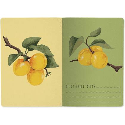 Тетрадь "Flora. Paradise. Абрикосы", A5, 40 листов, клетка, белый, желтый - 3