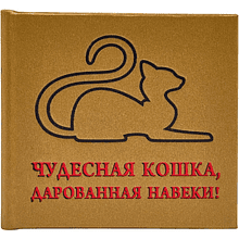 Книга-мини "Чудесная кошка, дарованная навеки", 67х59 мм, ассорти