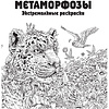 Раскраска "Метаморфозы" - 2