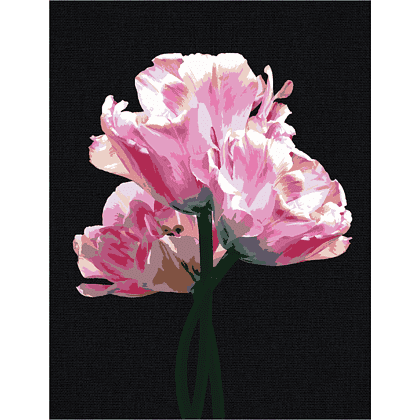 Картина по номерам "Розовые цветы" - 2
