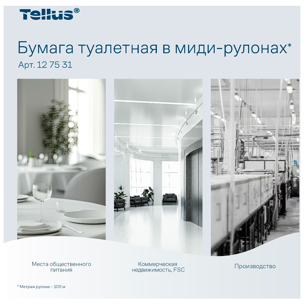 Бумага туалетная Tellus Комфорт T6, в миди-рулонах 100 м, 2 слоя - 11