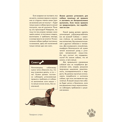 Книга "Дрессировка и воспитание собаки", Андрей Шкляев - 15