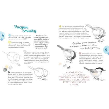 Книга "Птицы в городе. 25 историй в фактах и рисунках", Наталья Габеева - 2