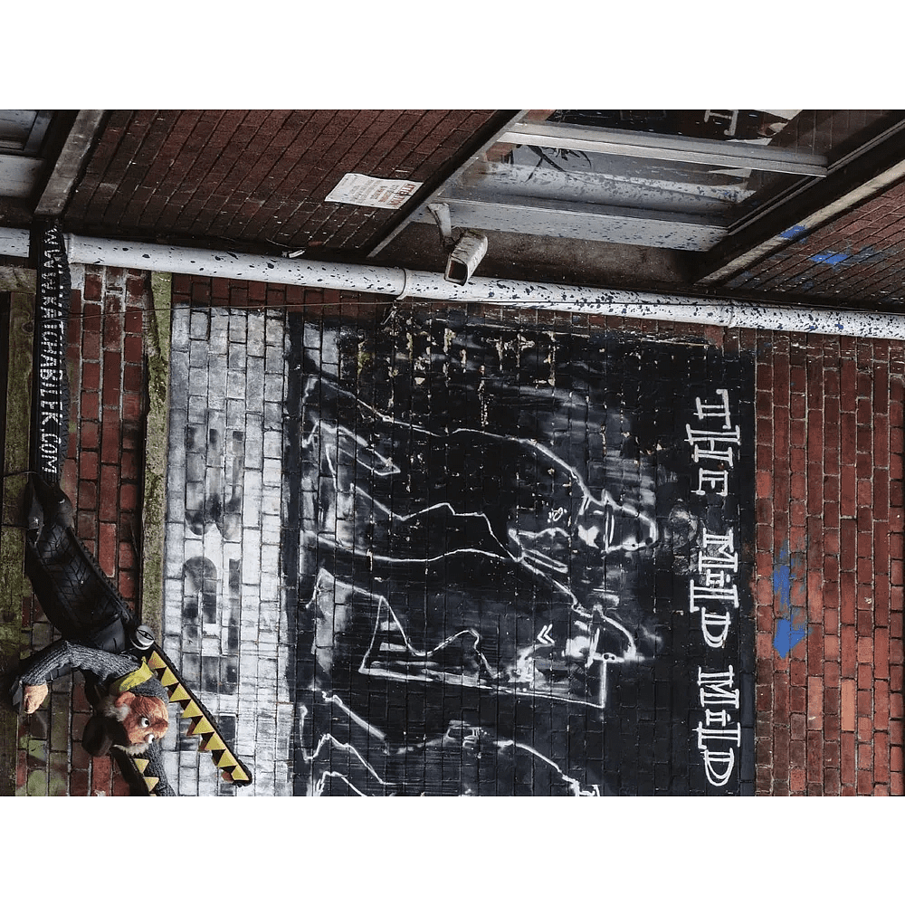 Книга "Бэнкси. Первое полное расследование тайны художника", Кэрол Диль - 6