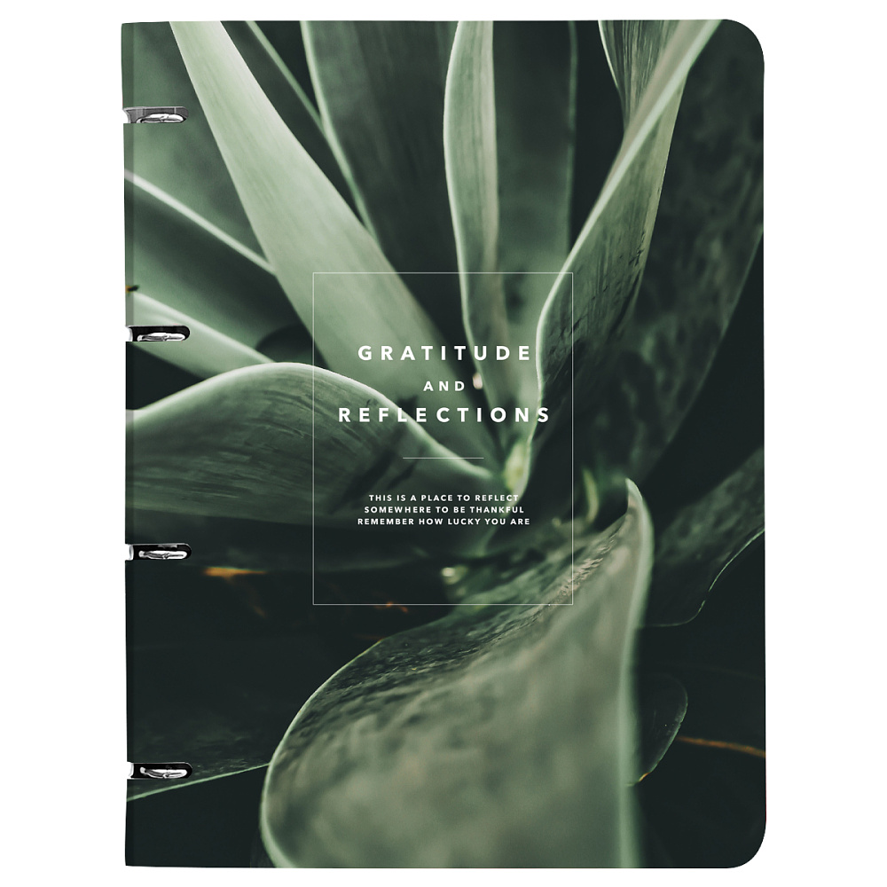Тетрадь"Botanica сансевиерия", А4 120 листов, клетка,зеленый