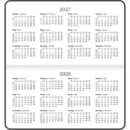 Еженедельник датированный "Гранаты" на 2027 год, А5, 128 страницы, линейка, черный - 3