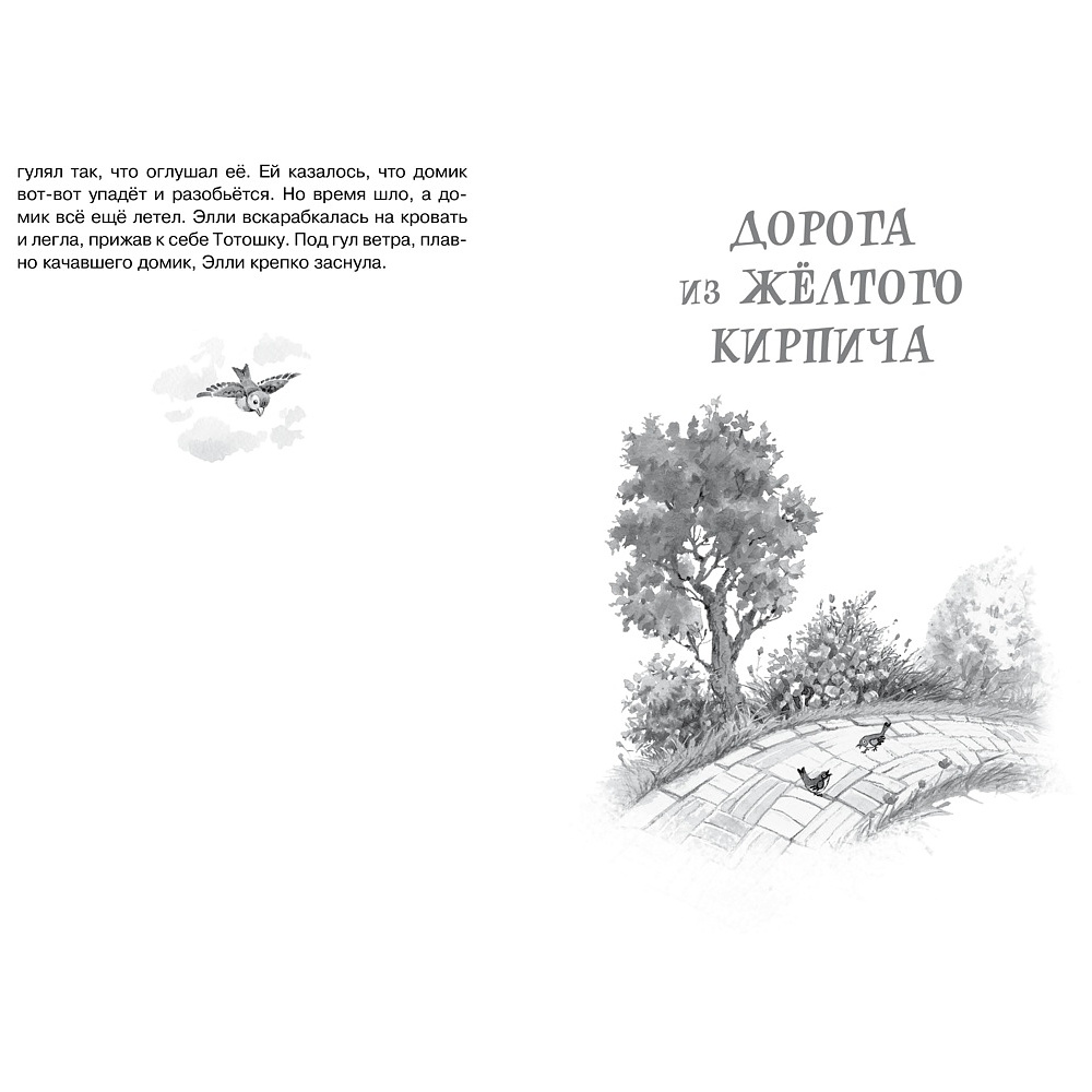 Книга "ЧЛУ. Волшебник Изумрудного города", Александр Волков - 6