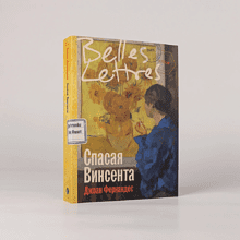 Книга "Спасая Винсента", Джоан Фернандес