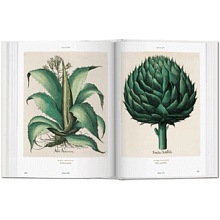 Книга на английском языке  "Florilegium. The Book of Plants. Garden at Eichstatt" 