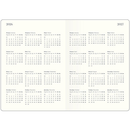 Ежедневник датированный "Fortune" на 2026 год, А5, черный - 5