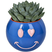 Кашпо "Smiley", полистоун, синий