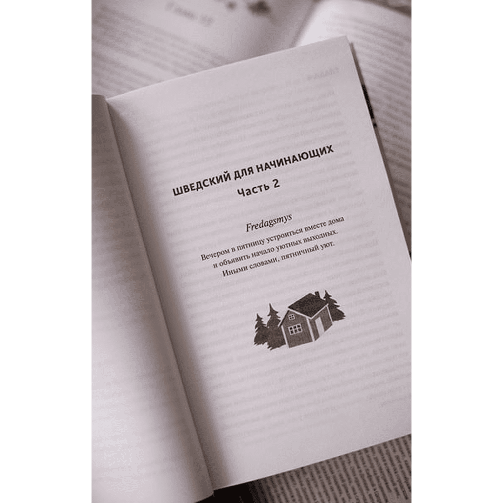 Книга "Чисто шведские убийства. Деревушка с секретами", Бьёрн Беренц - 5