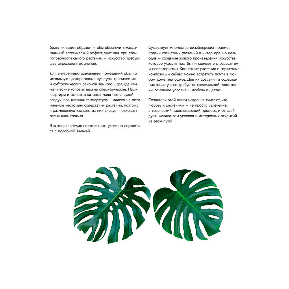 Книга "Зеленый оазис. Комнатные растения от А до Я", Березкина И. - 3