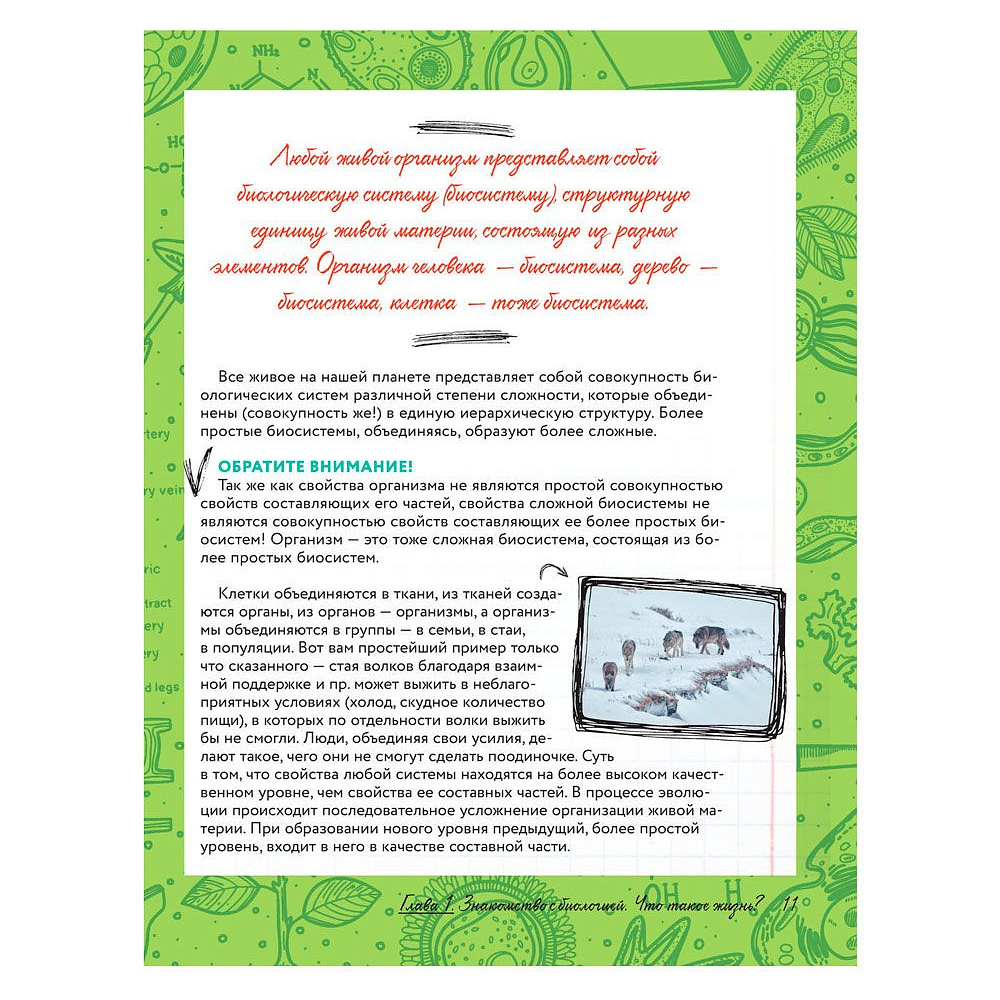 Книга "Увлекательно о биологии: в иллюстрациях", Андрей Шляхов - 10